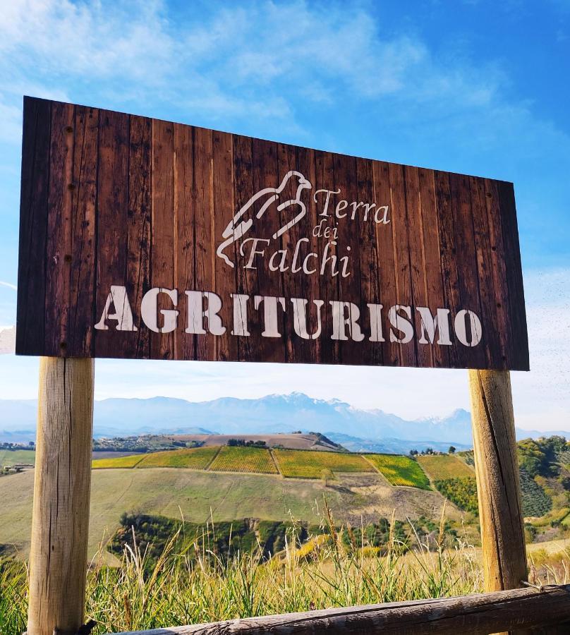 Agriturismo Terra Dei Falchi Castilenti Extérieur photo